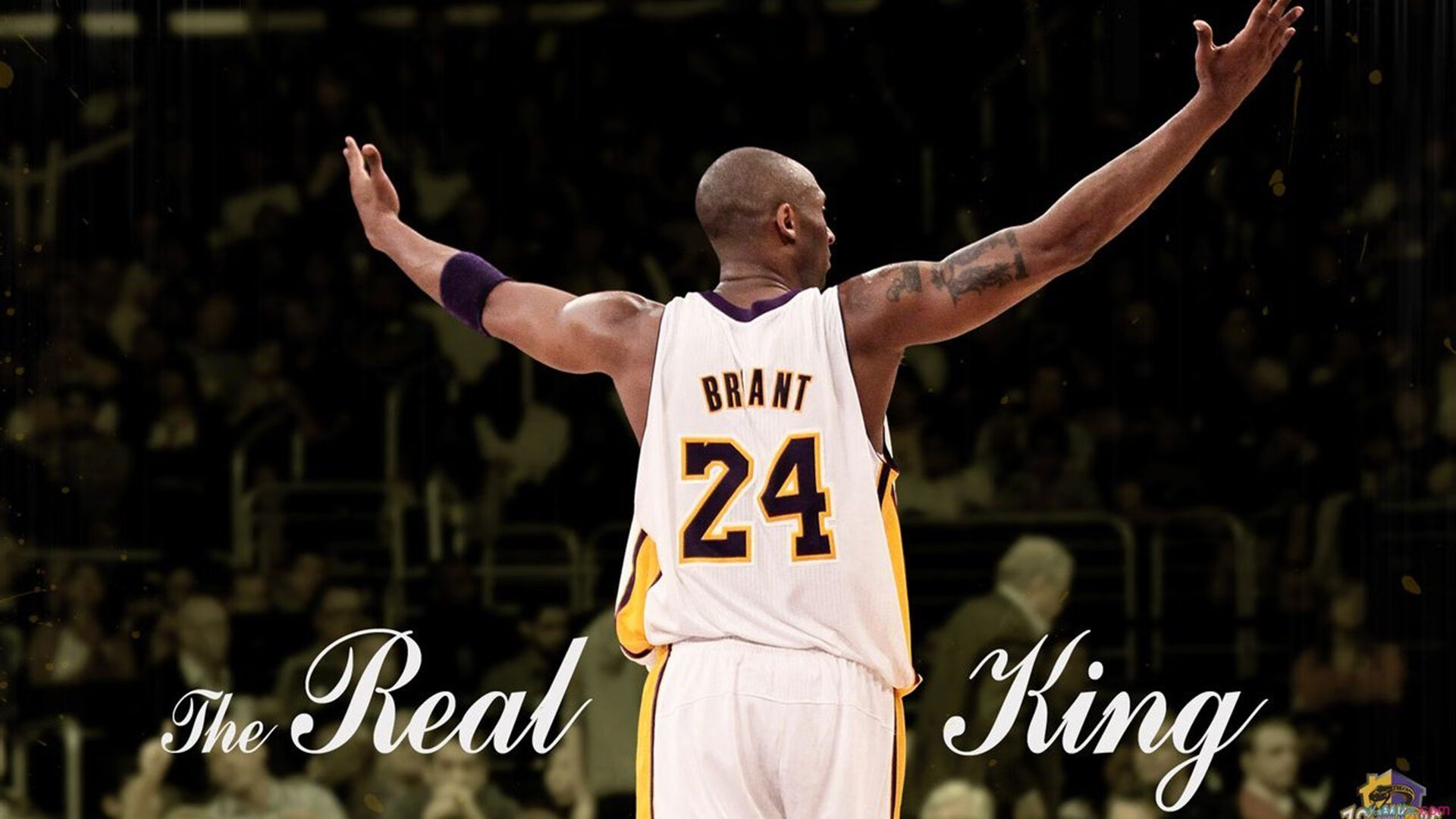 赛道之外的高光,小贾伦的F1年度争冠之夜